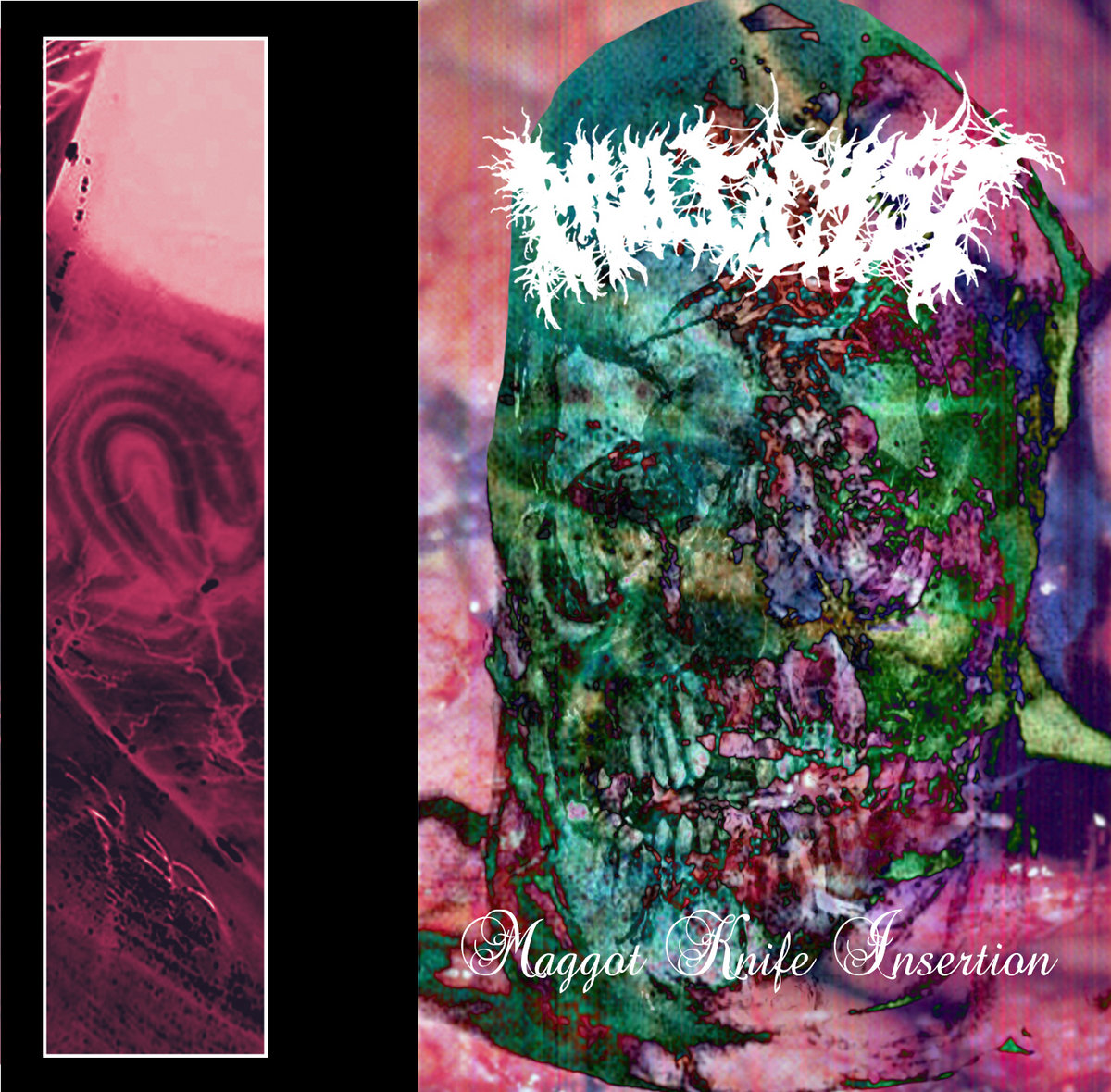 Maggot Knife Insertion