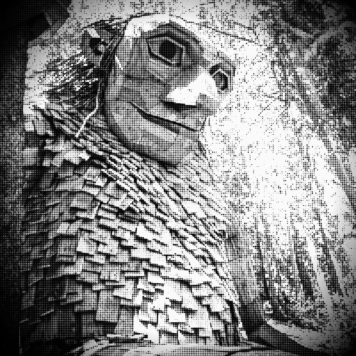 Maelstrom ft. Mattais Olgin