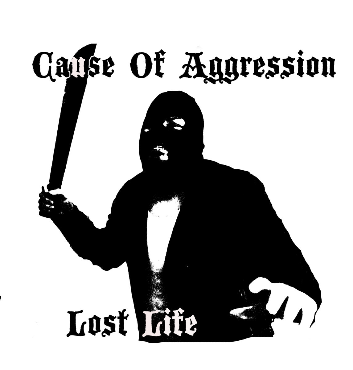 cause of aggression demo