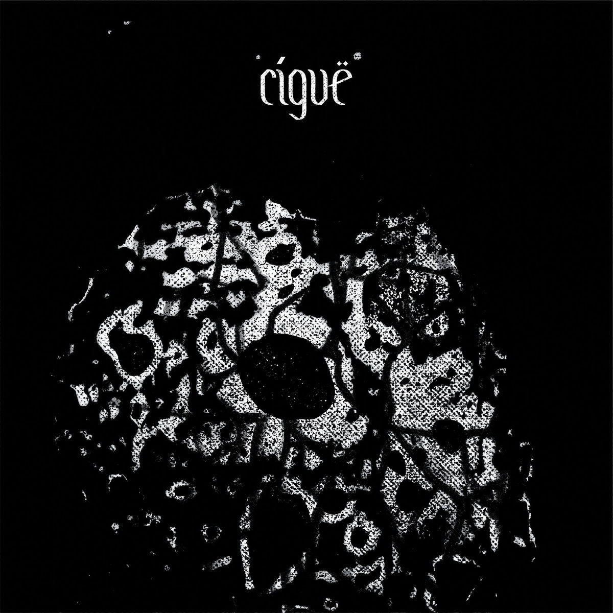 What Makes Them Burn