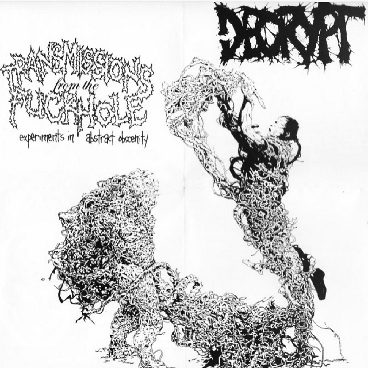 Transmissions From The Fuckhole: Experiments In Abstract Obscenity