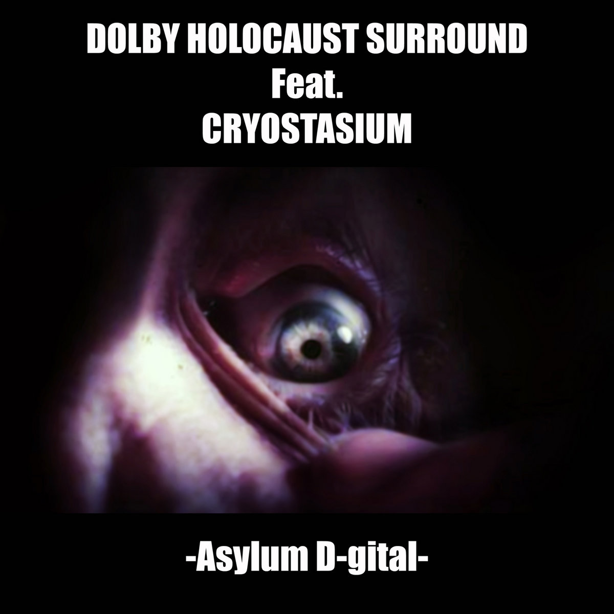 Asylum D-gital