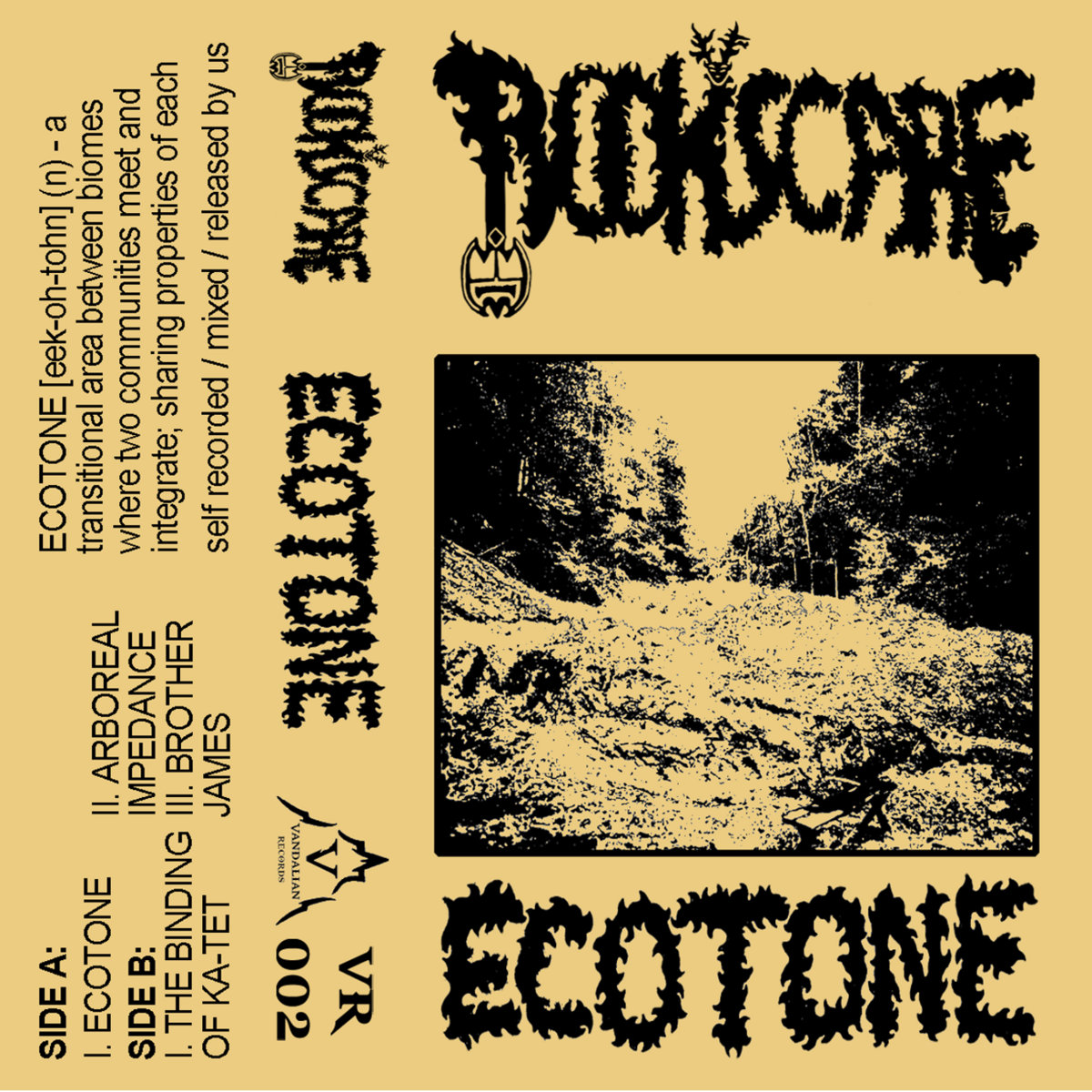 Ecotone