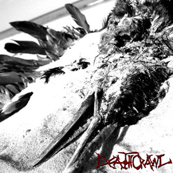 The End is Not Near Enough