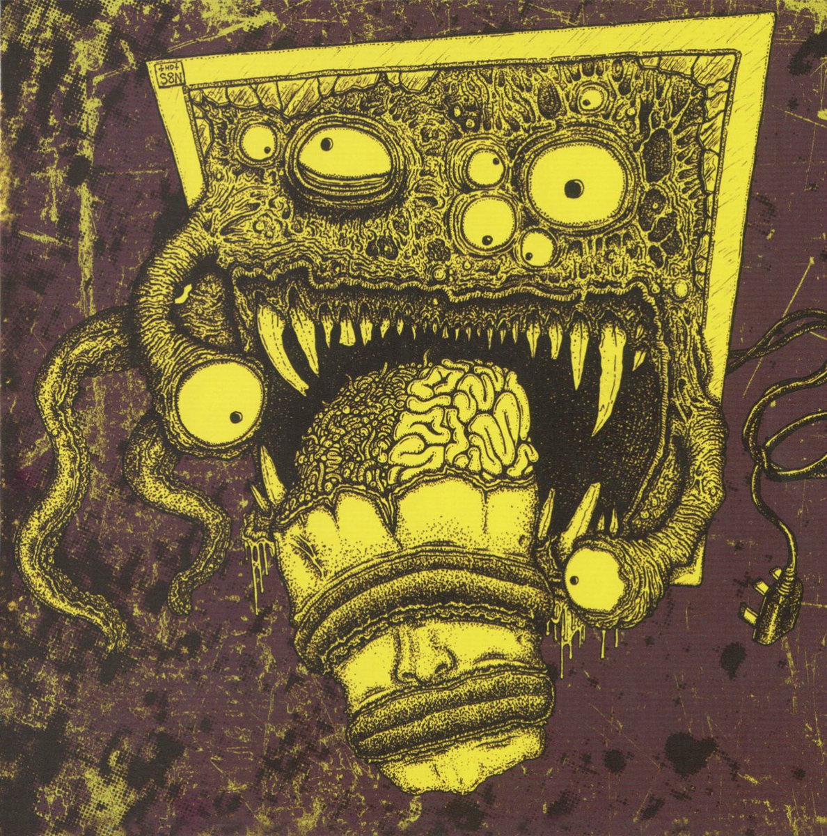 Split with Hate your Fate