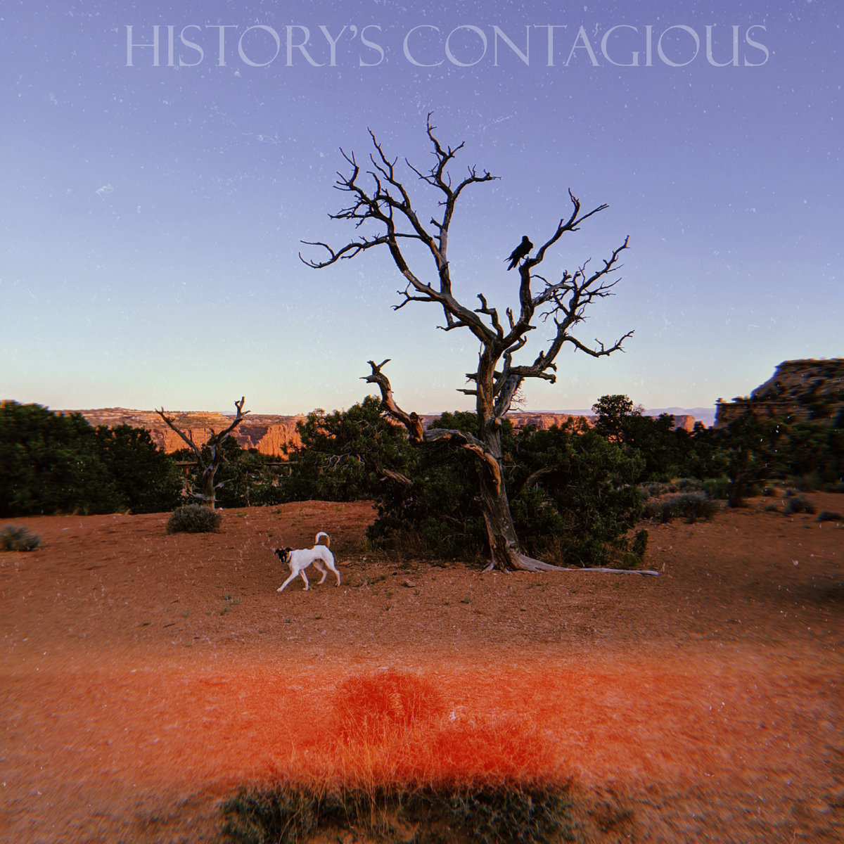 History's Contagious