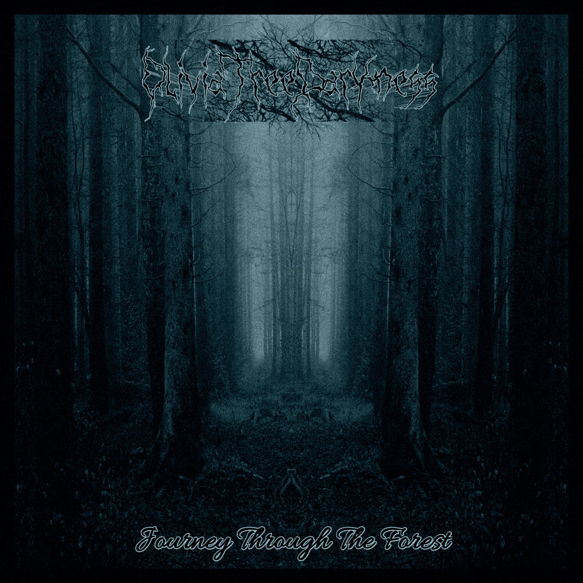 Journey Through The Forest