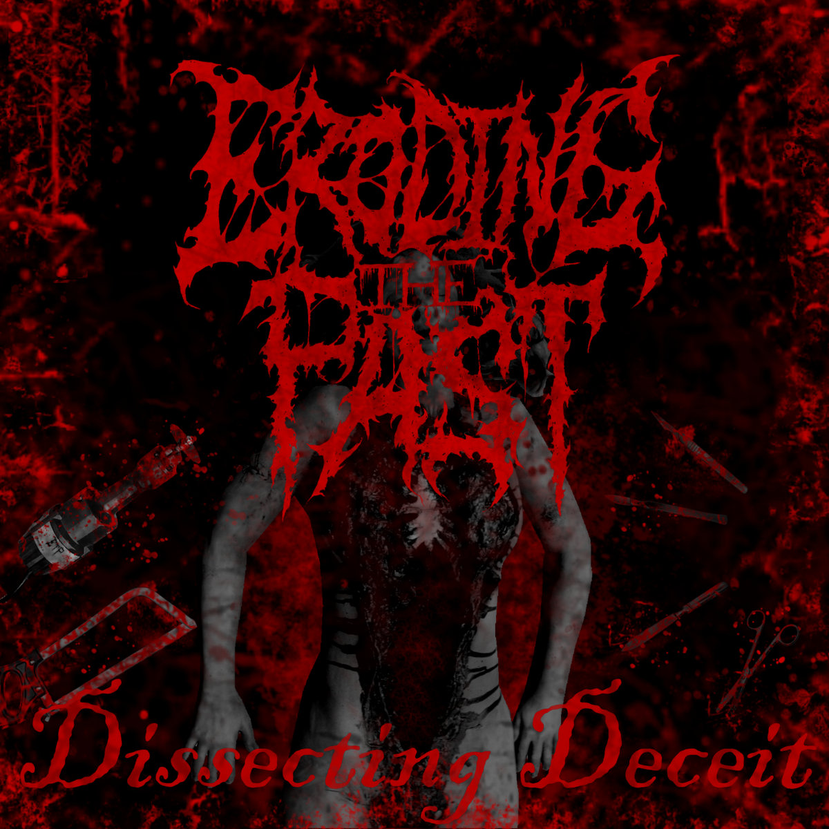 Dissecting Deceit (2020 Demo)
