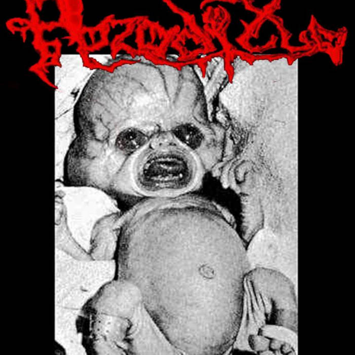 Live Sessions Nebuloza