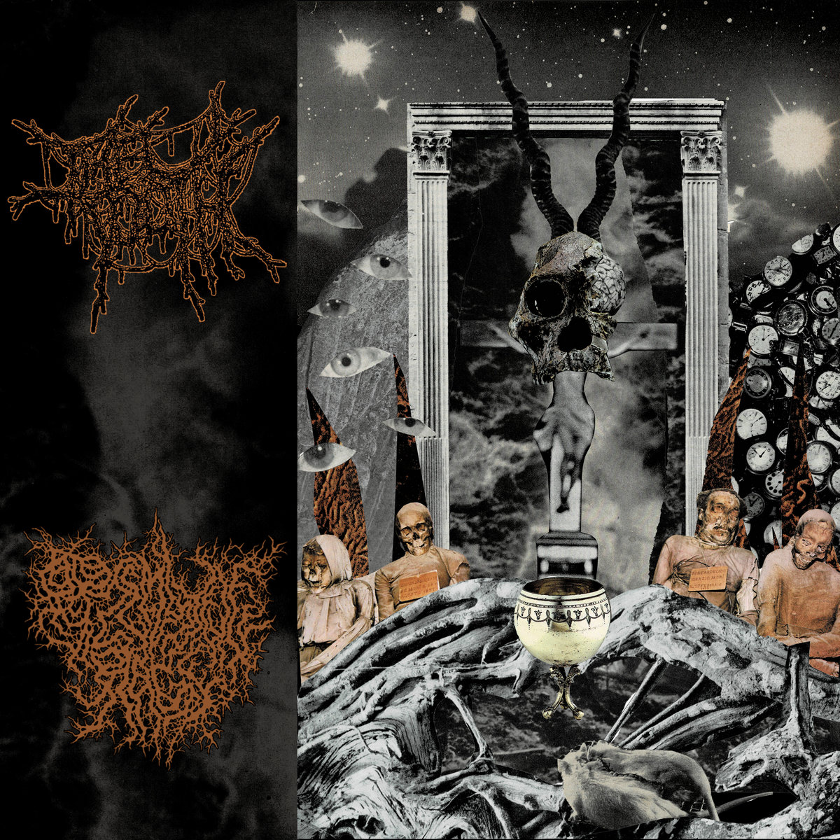 The Tooth / Primitive Rage