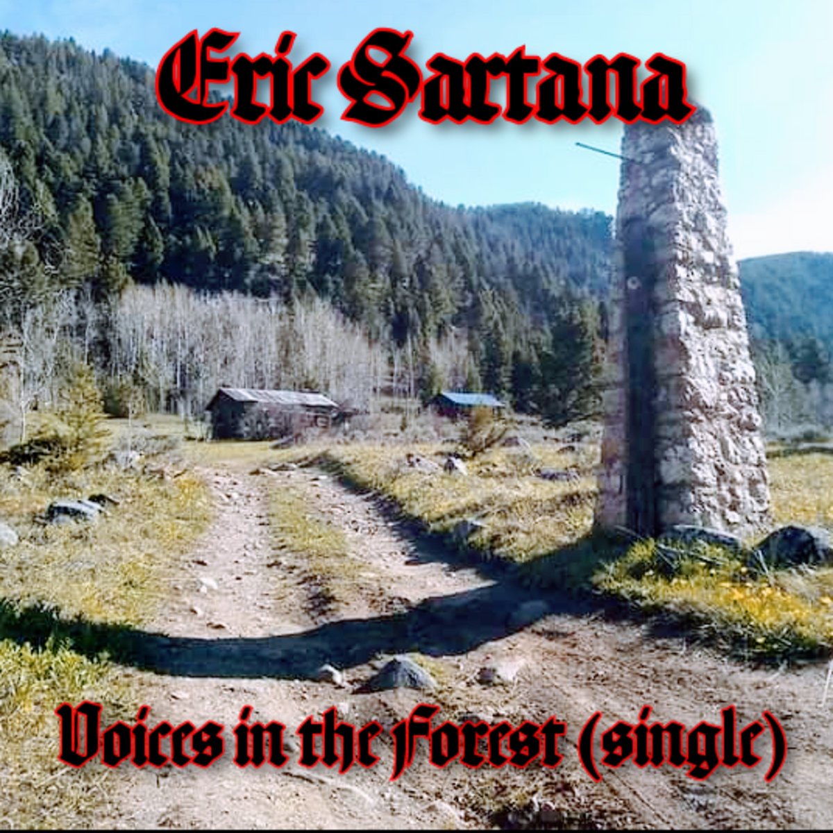 Voices in the Forest (single)