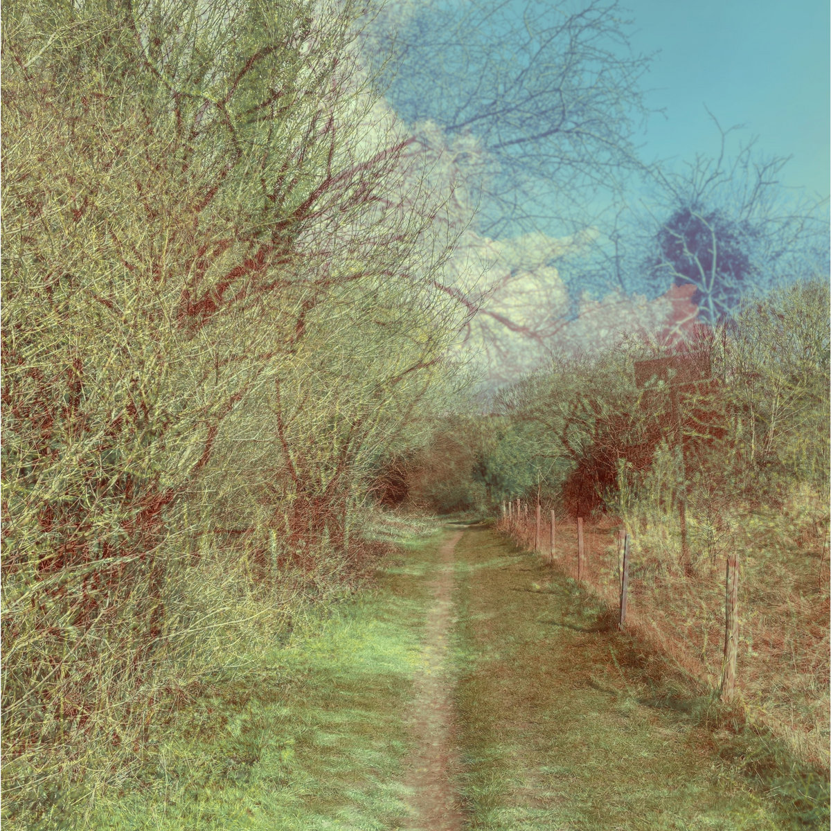 The Many Paths Through The Hinterlands