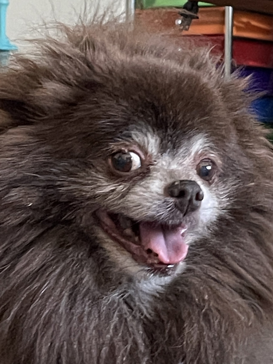 you might be in my dreams