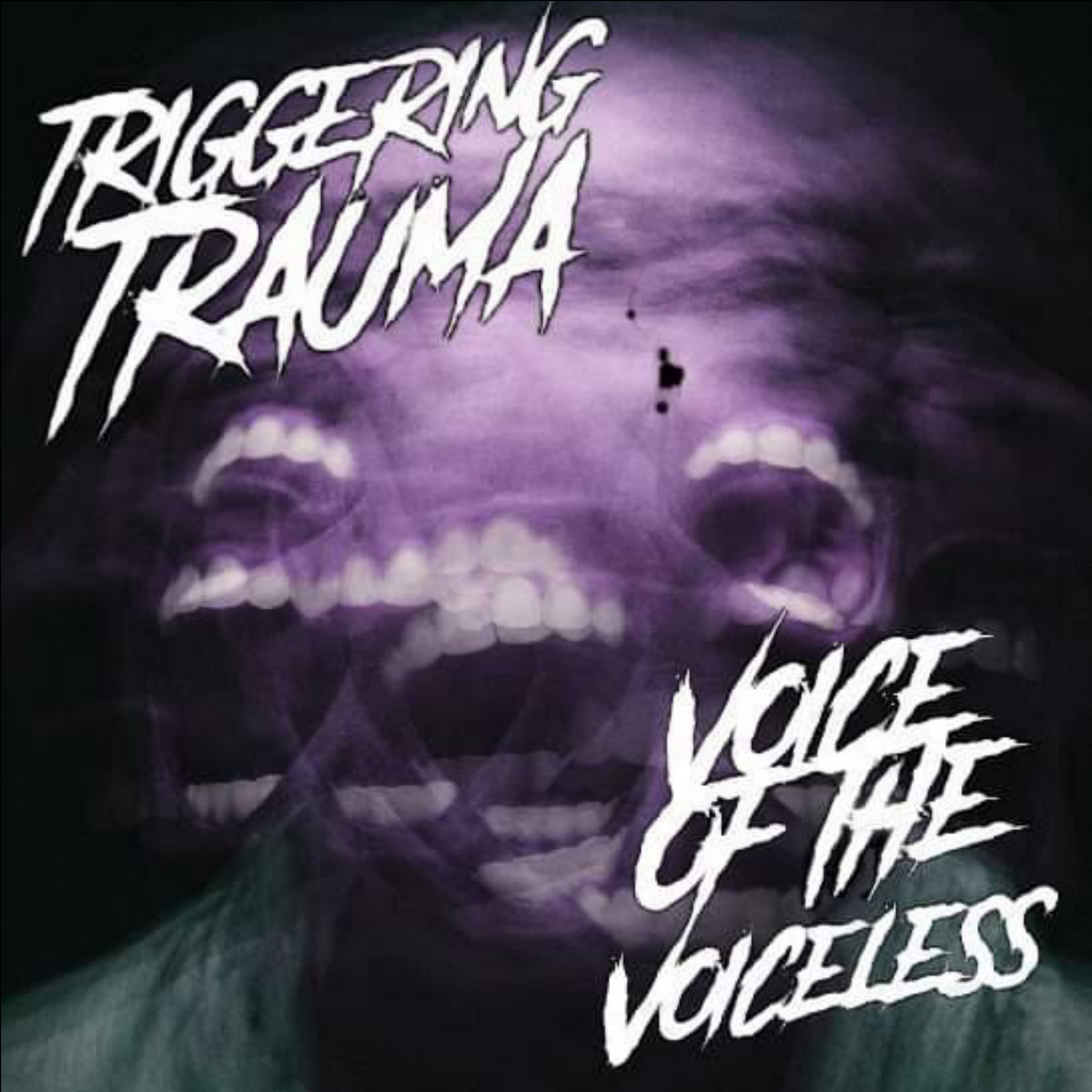 Voice Of The Voiceless