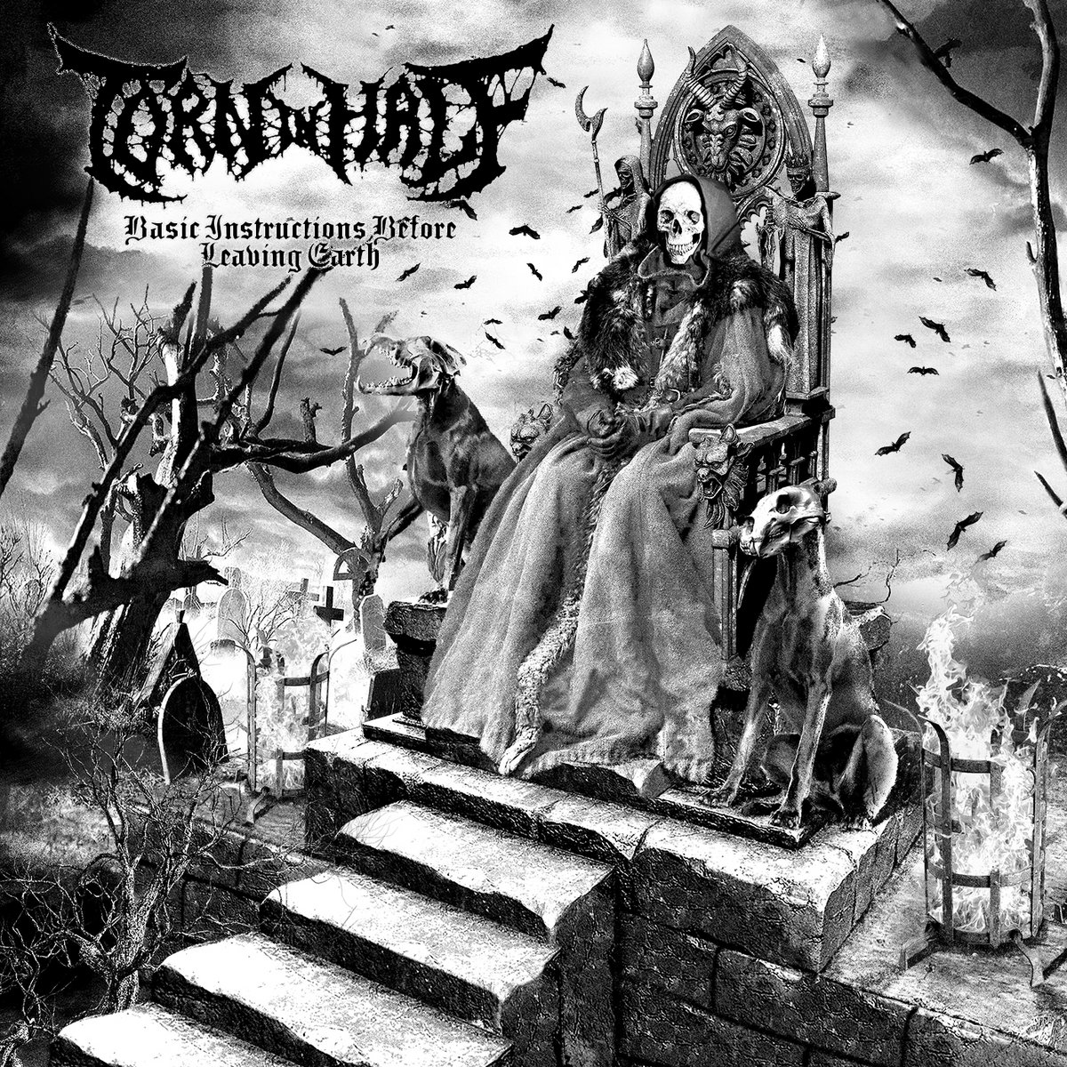 Basic Instructions Before Leaving Earth