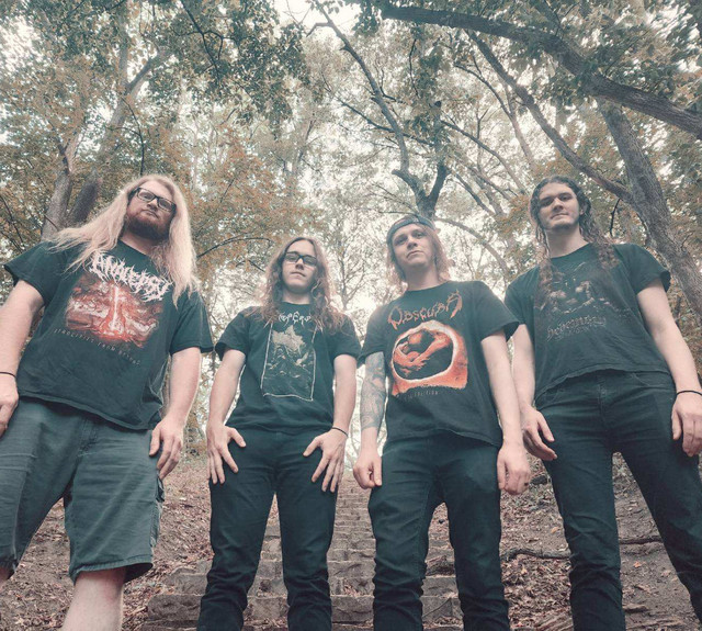 Mourning Veil
