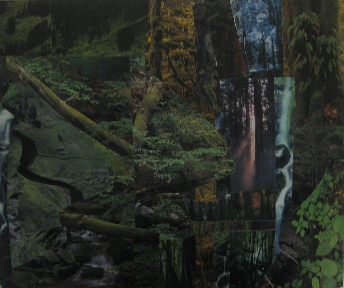 Elliptical Portraits