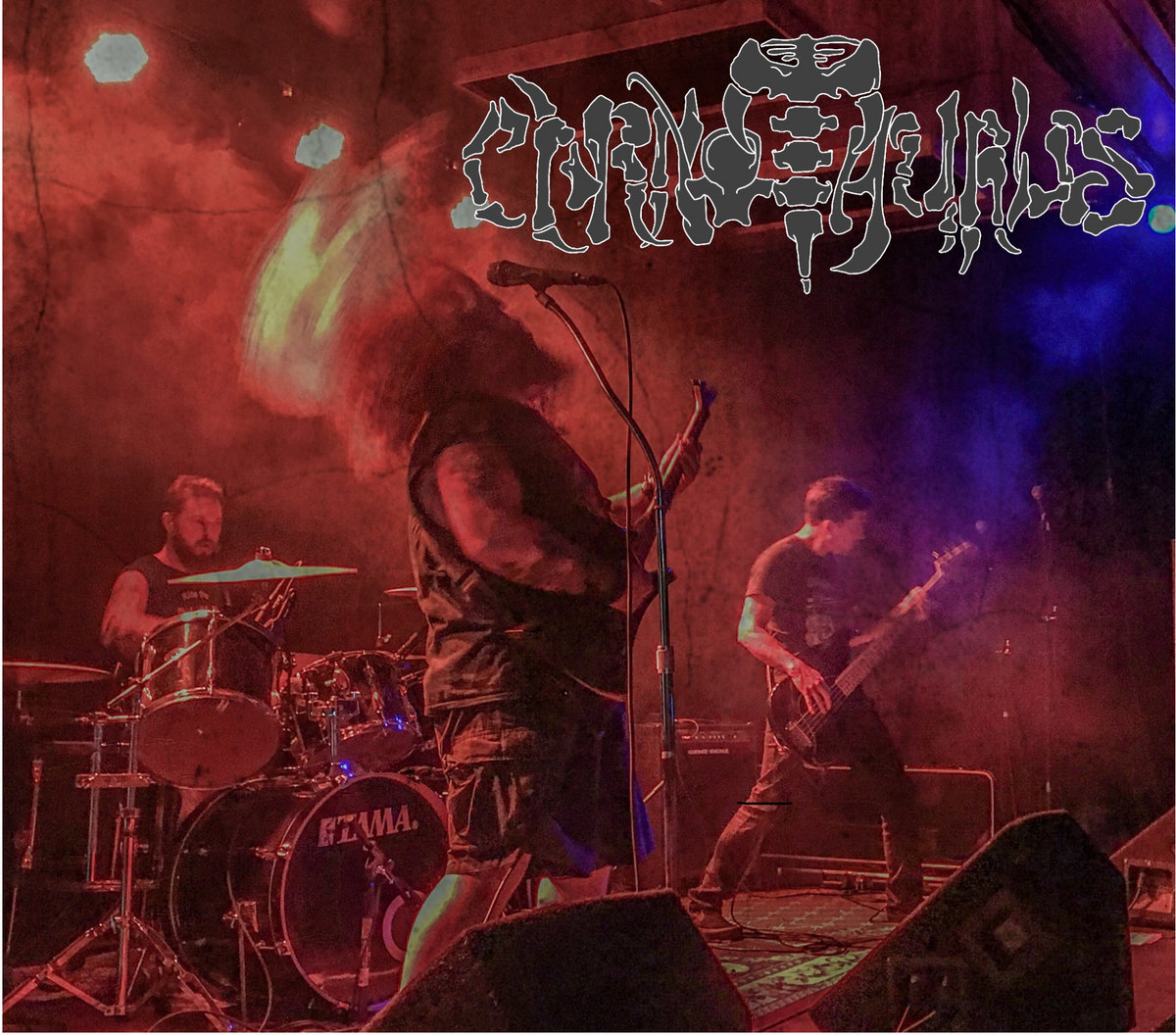 A Stampede of Horns and Shields