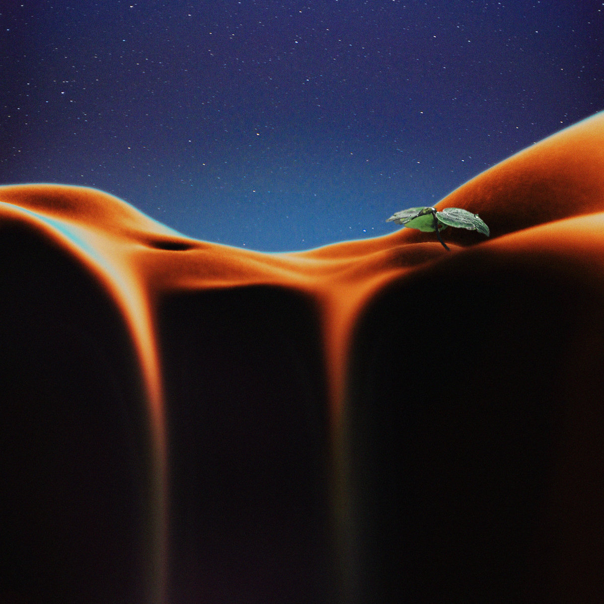 there is only your breath