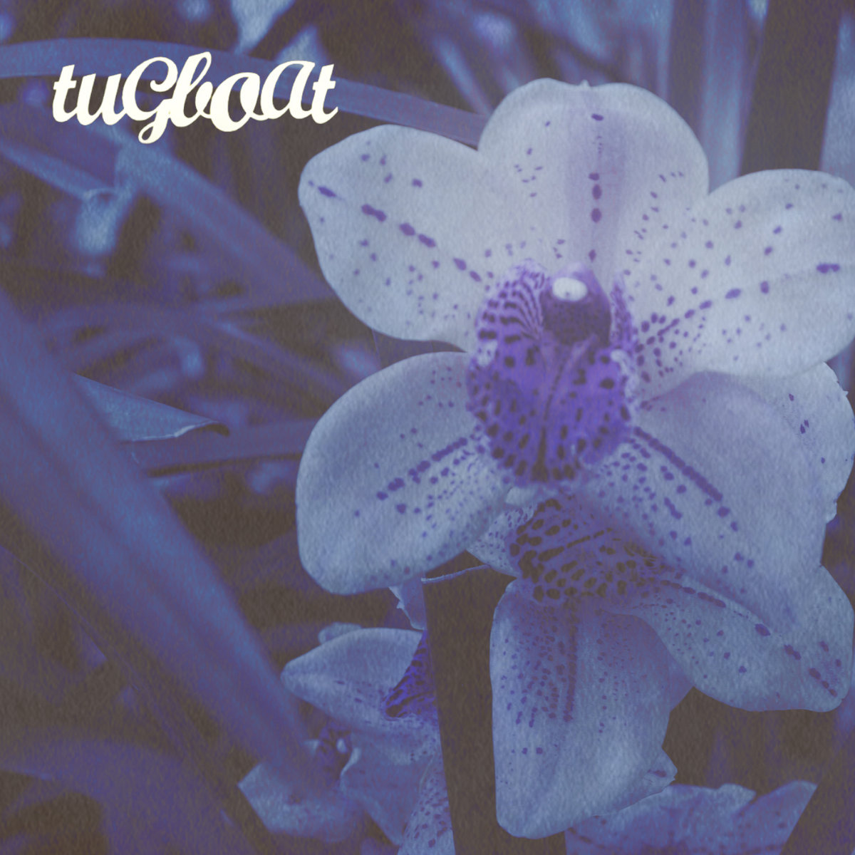 When Summer Comes - Final Recordings