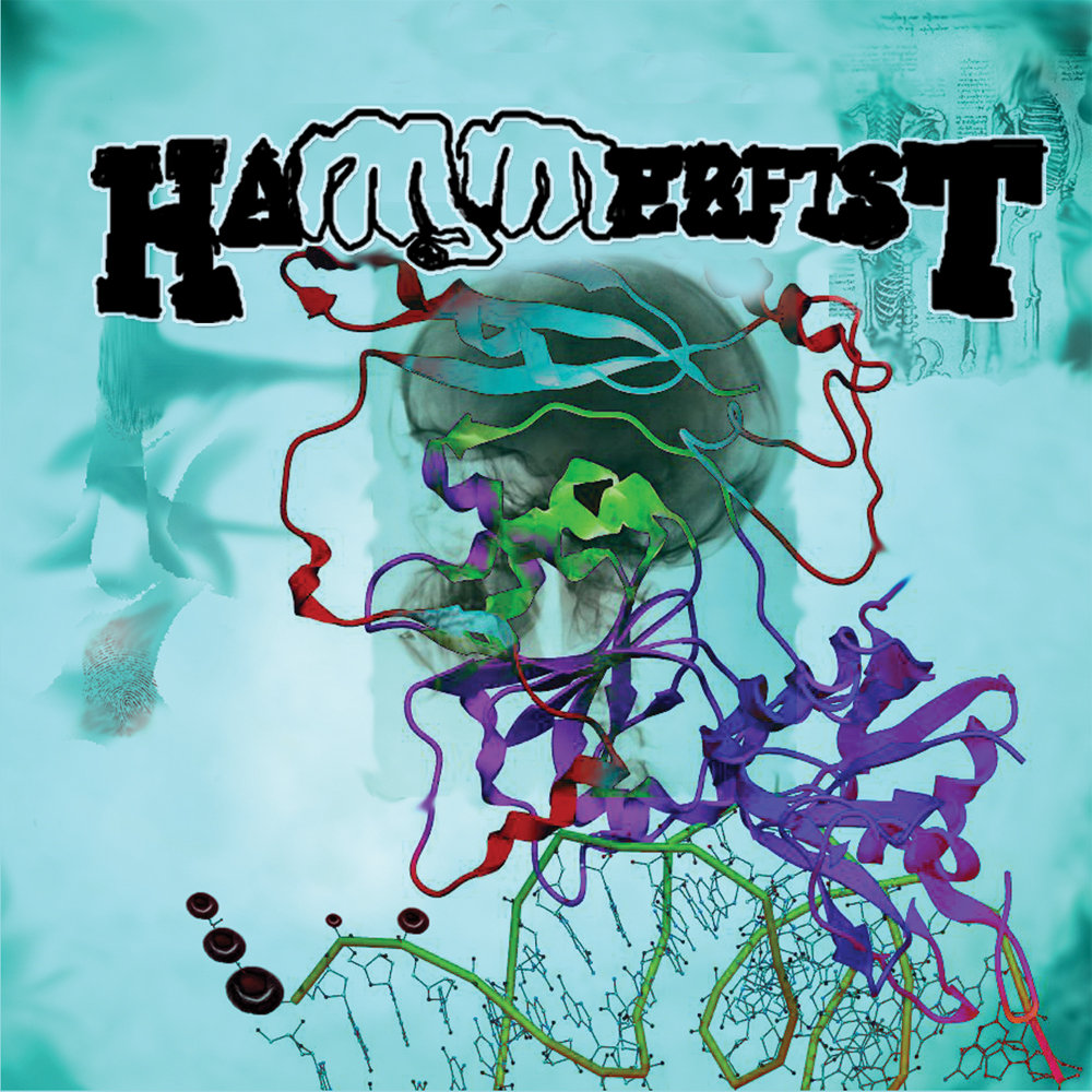 The All Important D.N.A. Results