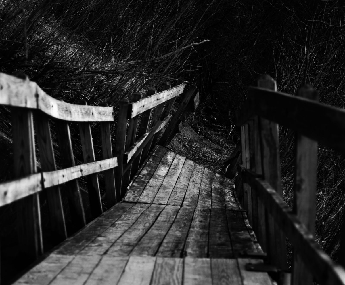 The Northern Hallows (EP - 2008)