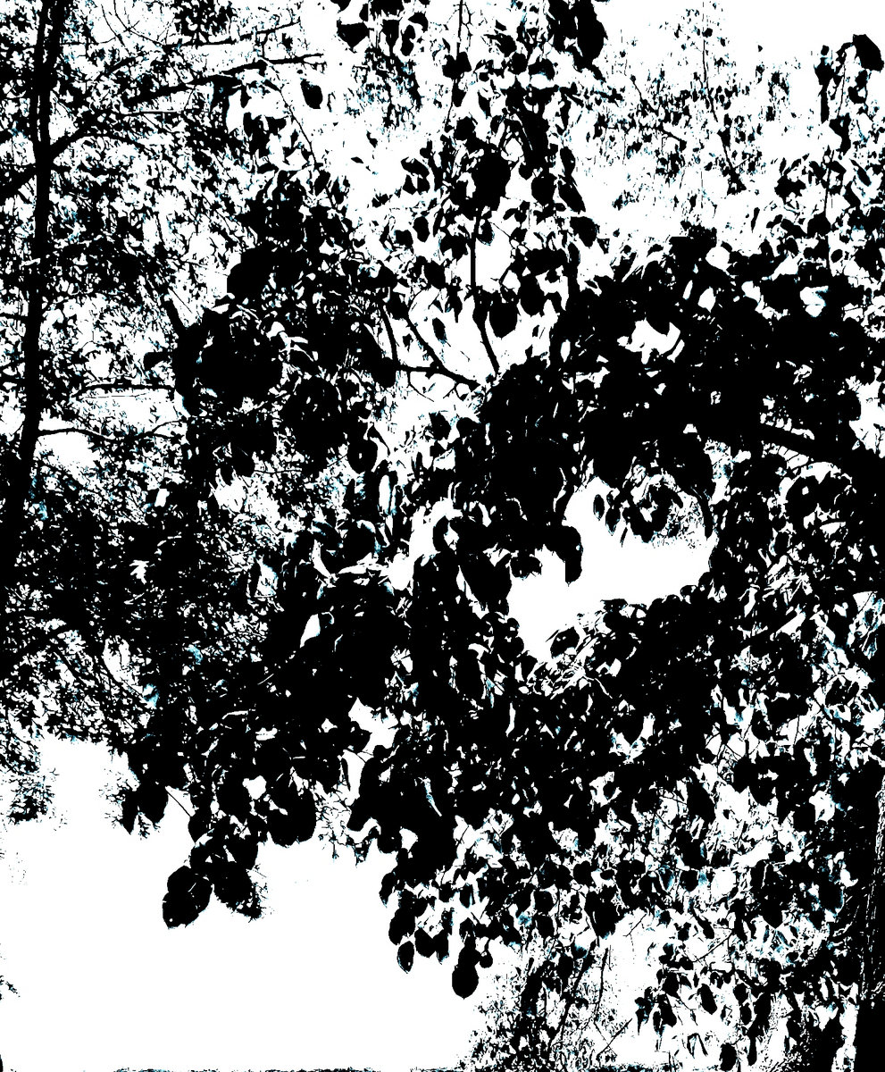 Drowned On the Seas Of Hatred