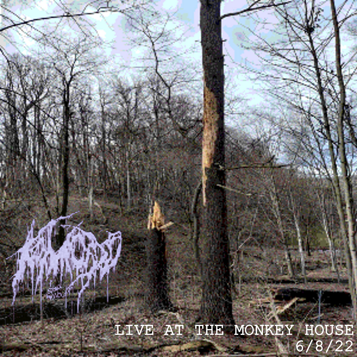 LIVE AT THE MONKEY HOUSE