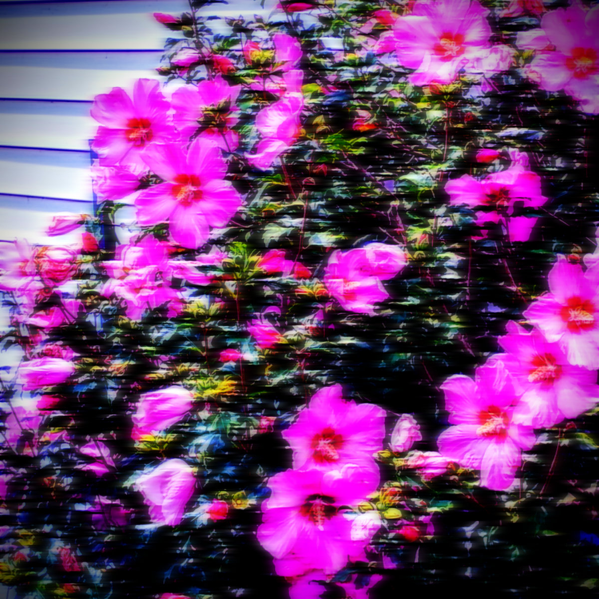 disappearing into april skies, to be found gazing at the sunset...