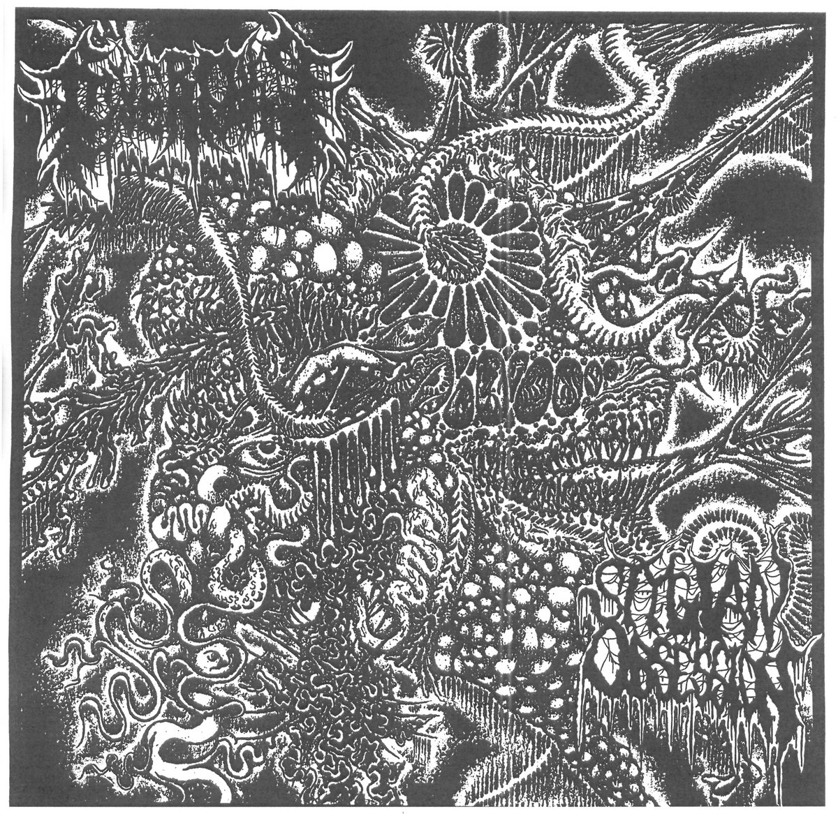 Heralds of Affliction