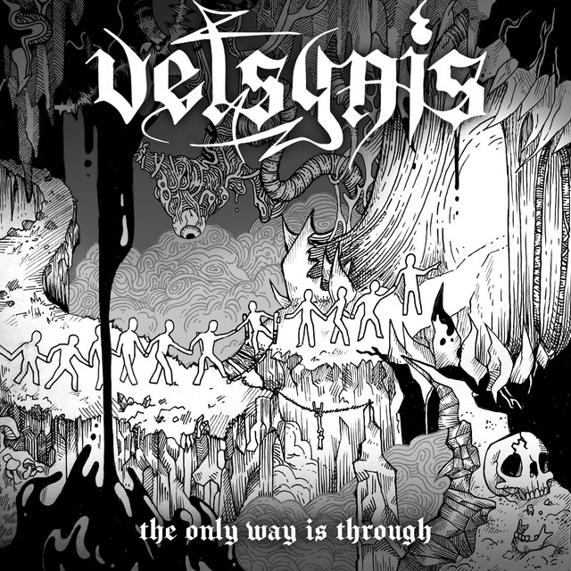 Vetsynis