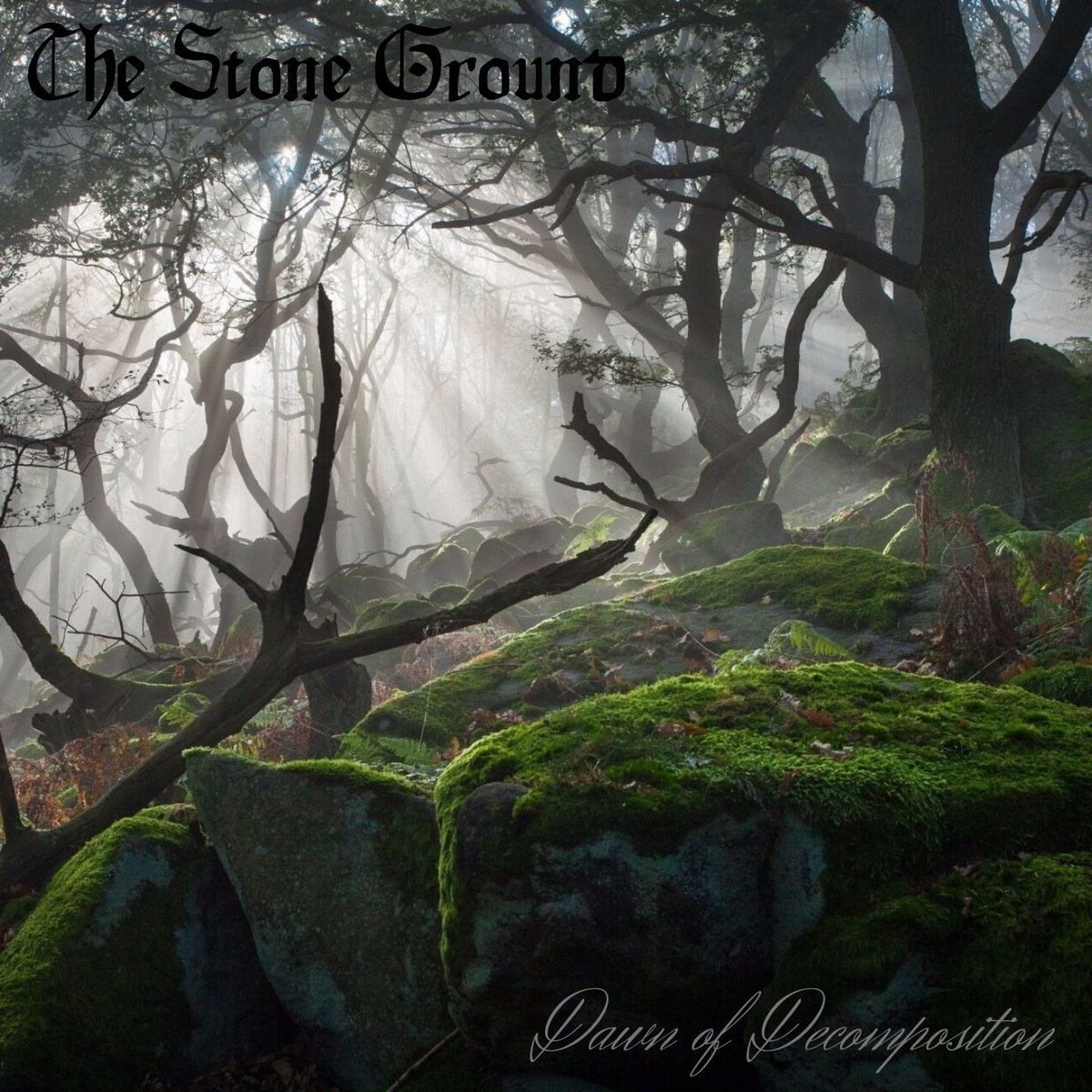 Dawn of Decomposition