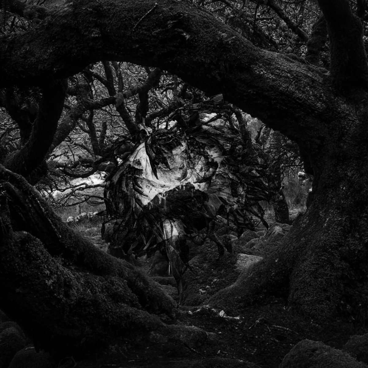 Without A Care In The World