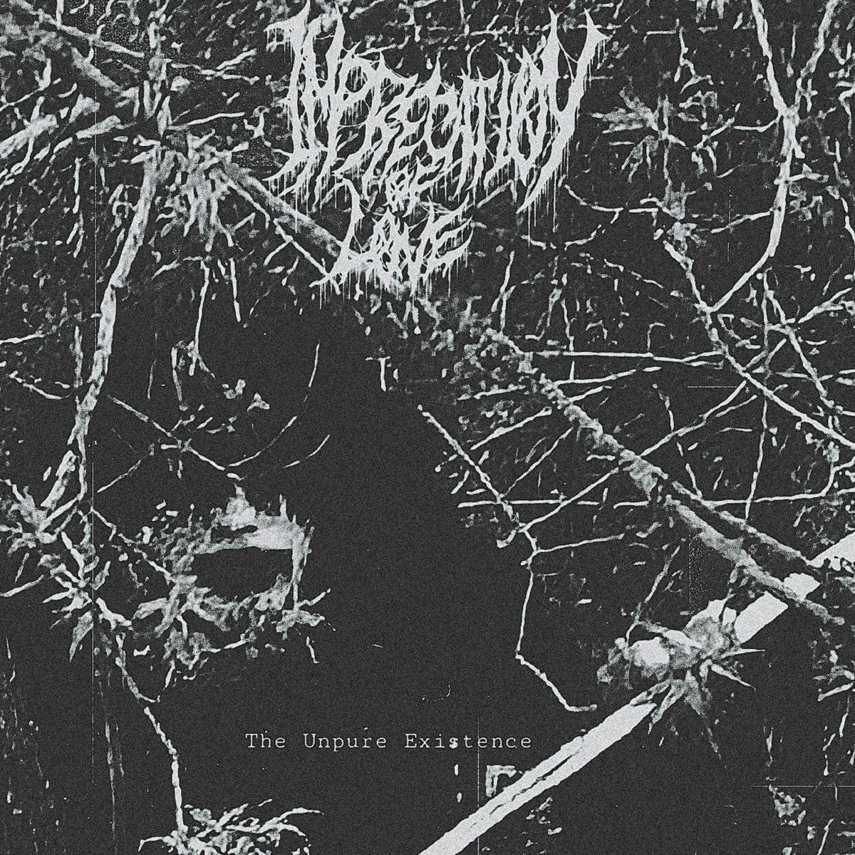 The Unpure Existence (DEMO)