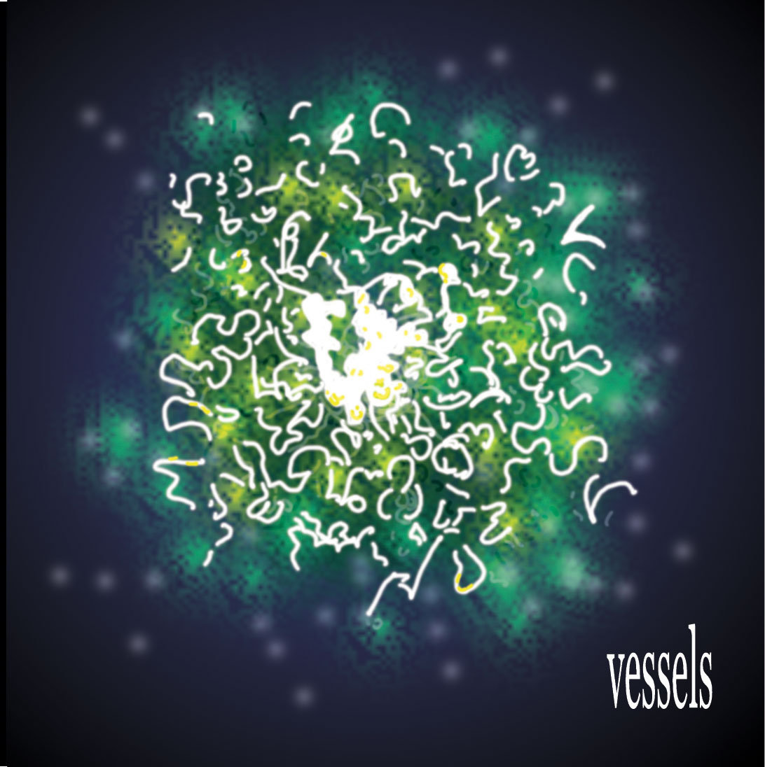 Yuki/Forever The Optimist