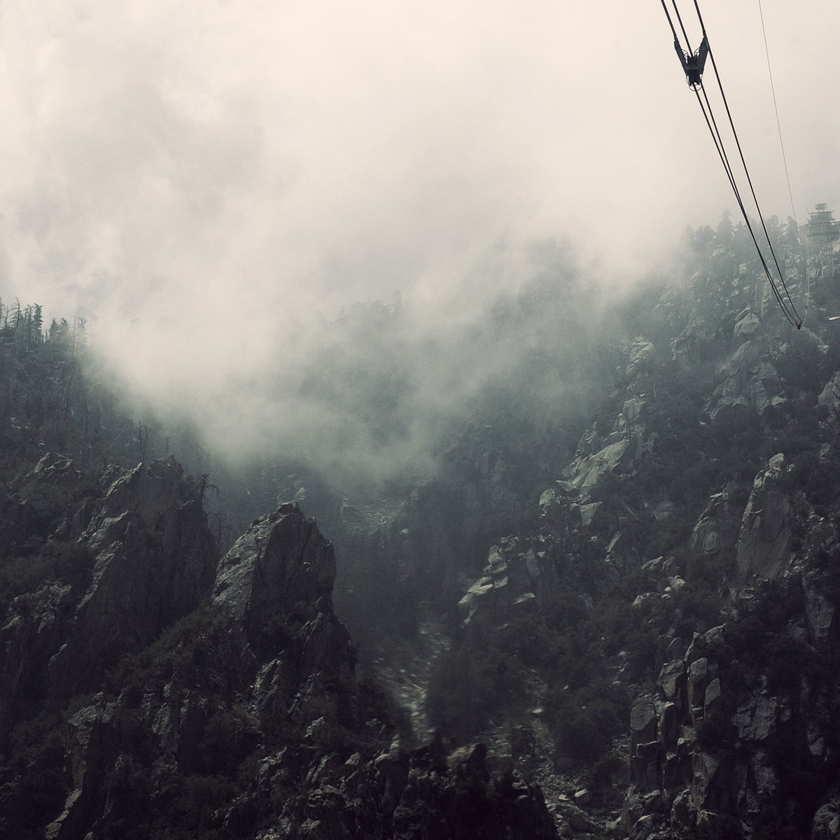 Coffin Black Demo 5 w\bass trk