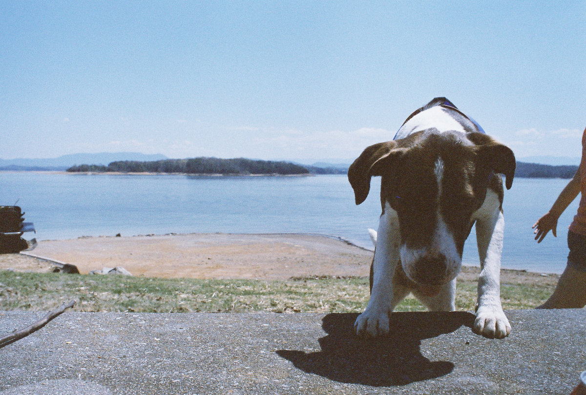 Ride to the Grave on Fire in Hell