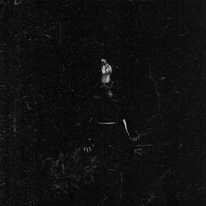 Night Winds of the Tempest