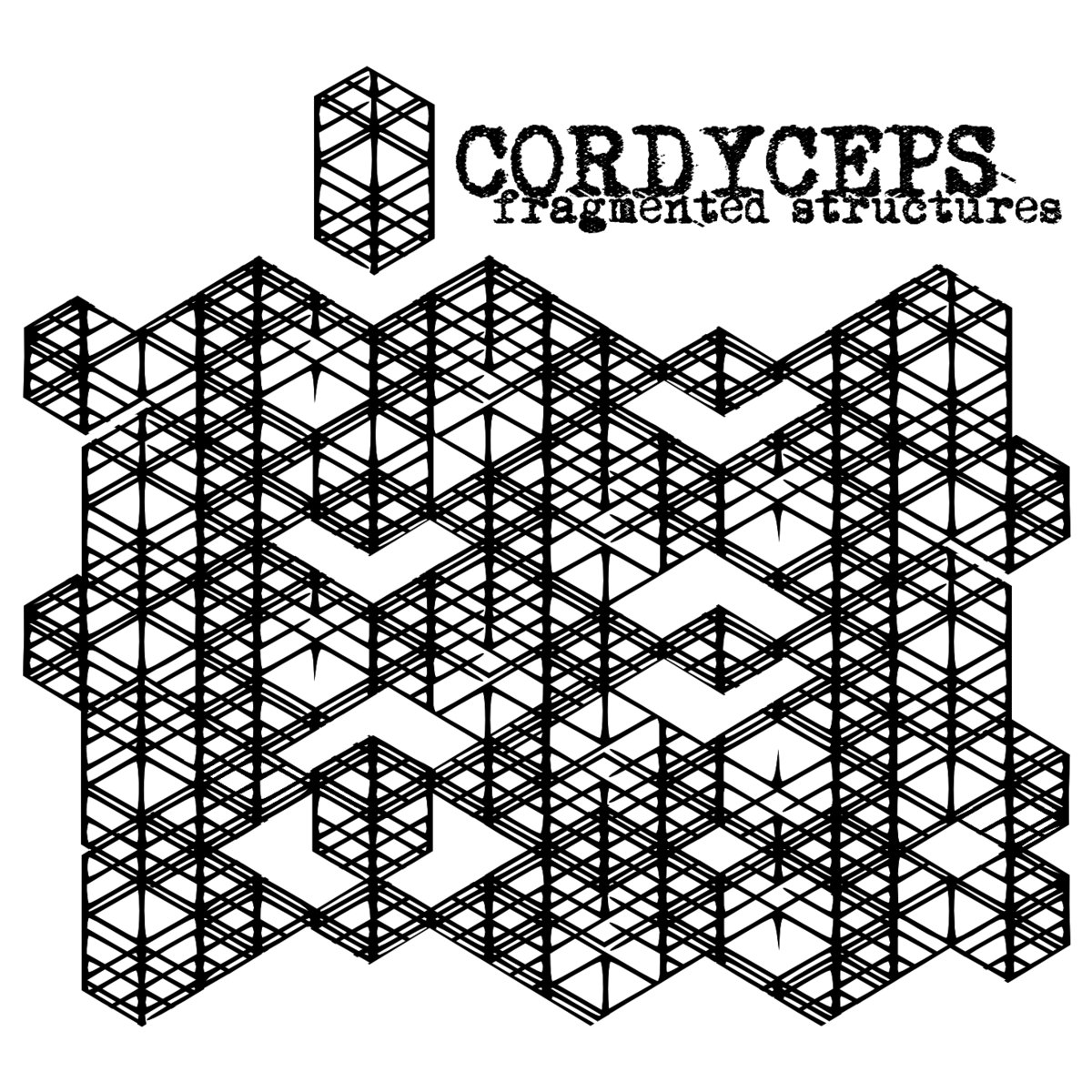 Fragmented Structures (reissue)