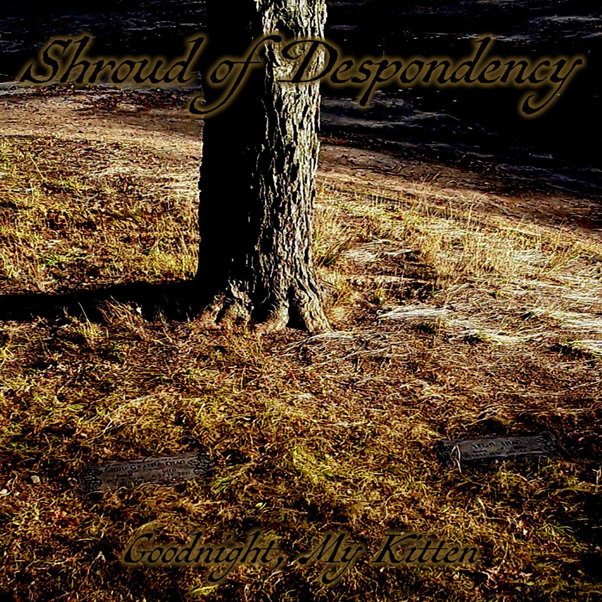 Goodnight, My Kitten