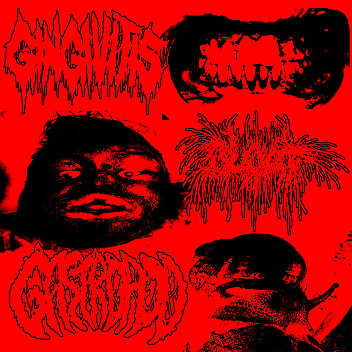 split w/ BLOAT & GASTROPOD