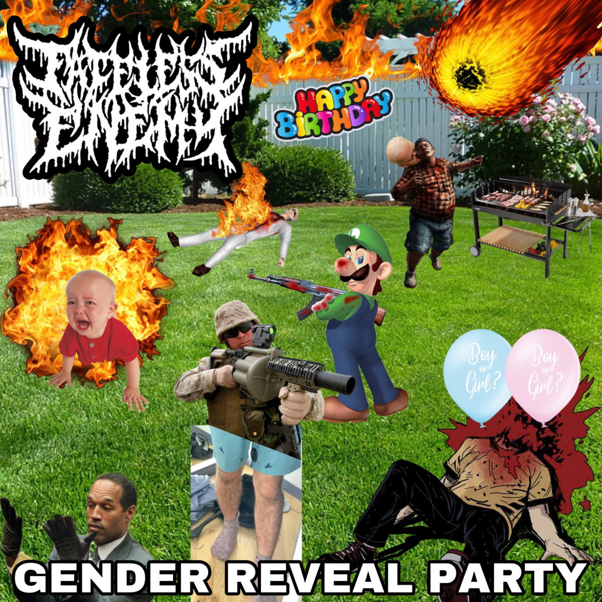 Gender Reveal Party