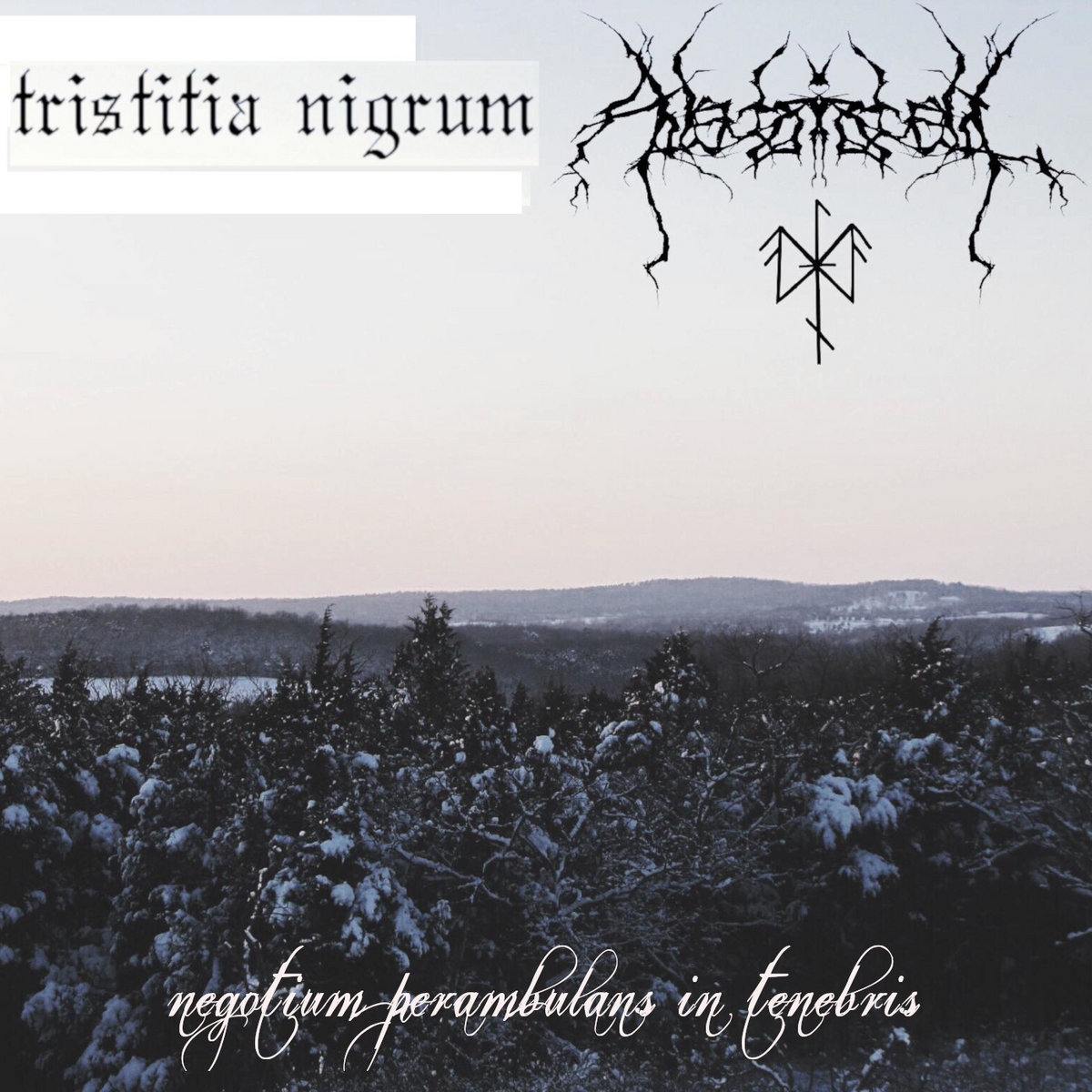 Negotium Perambulans in Tenebris