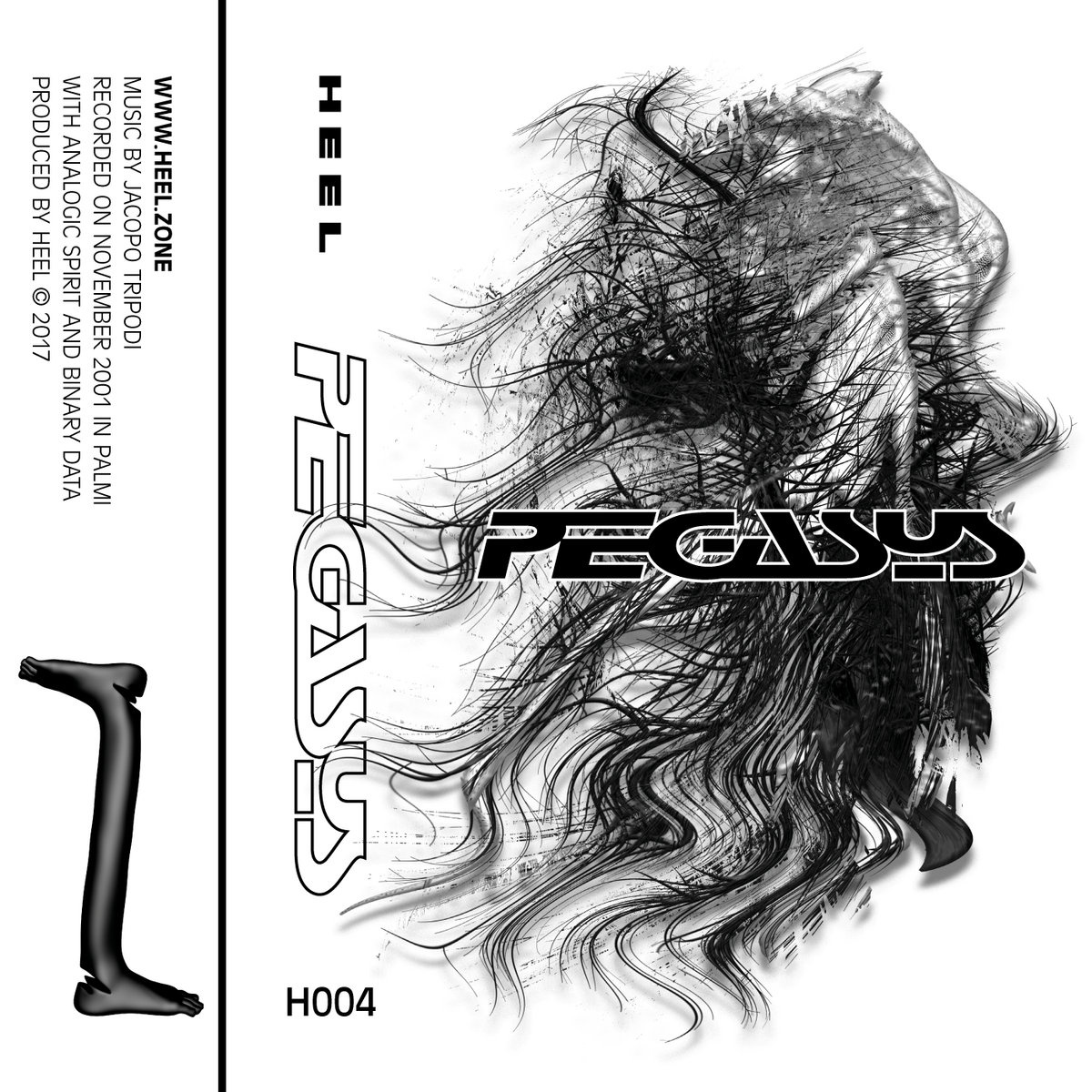 H004 | Jacopo Tripodi – Pegasys