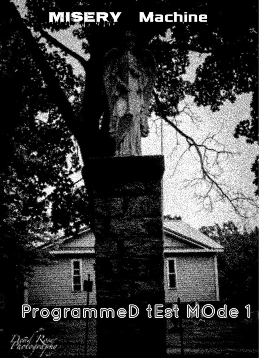 programmeD tEst MOde 1