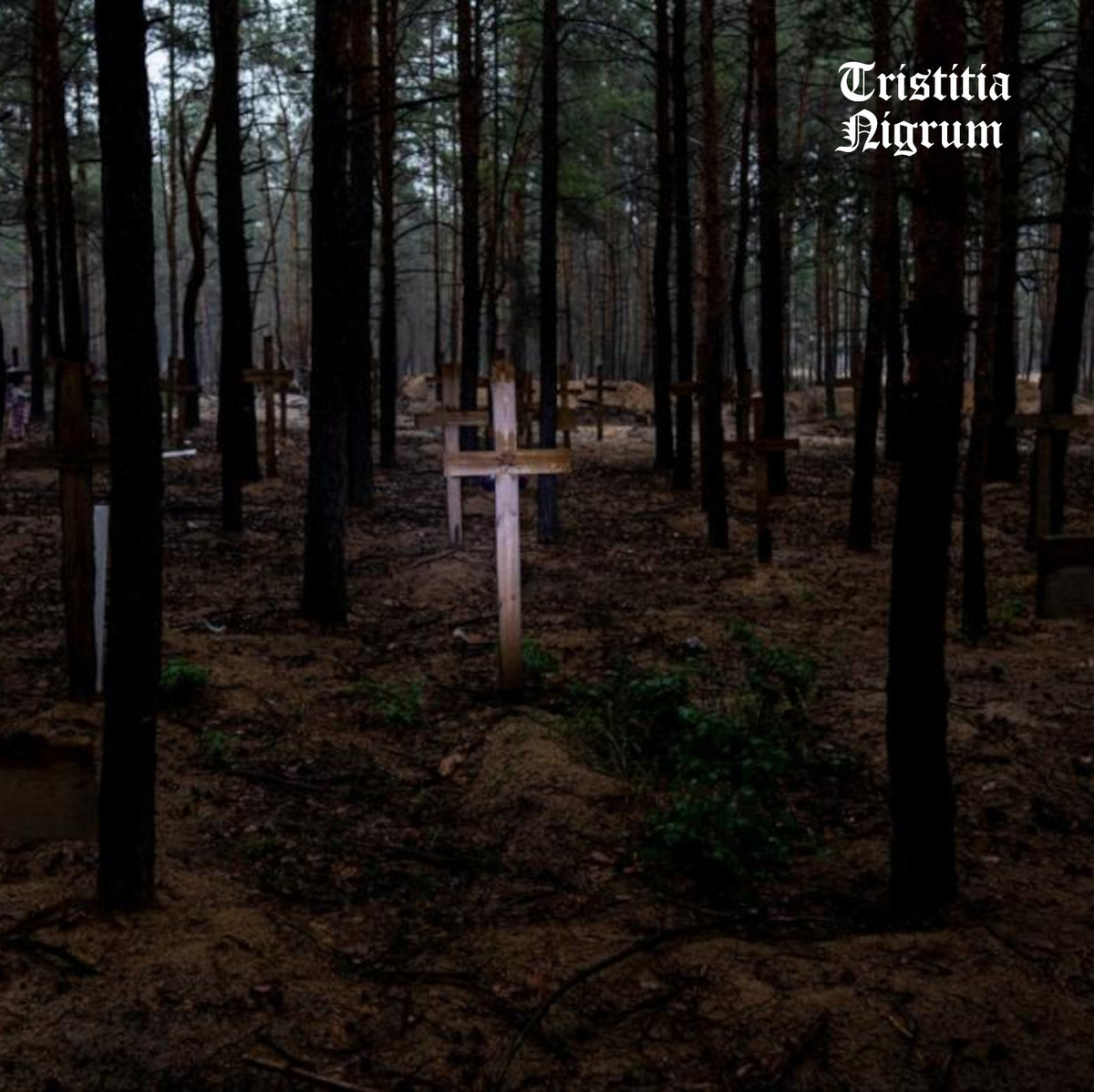 Tristitia Nigrum