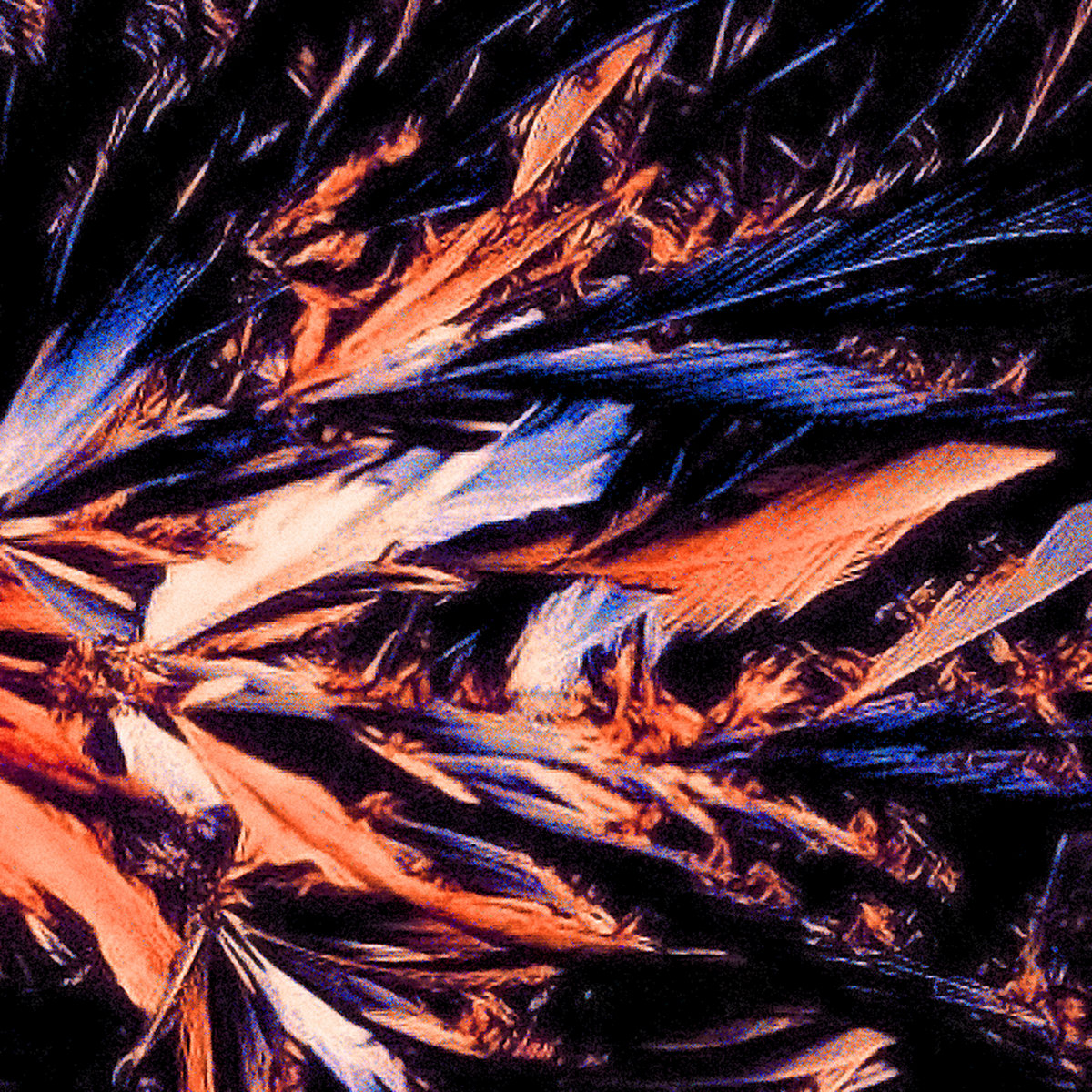 Various Artists Pt. 2