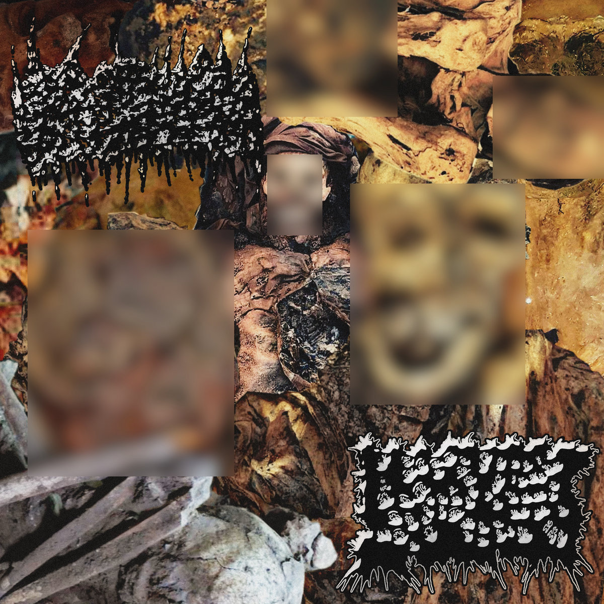 Urophagia / Harvest Surgery