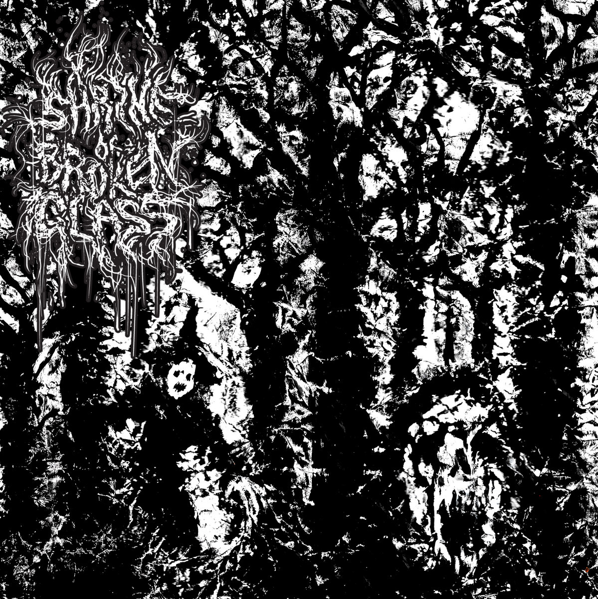 Shrine of Broken Glass