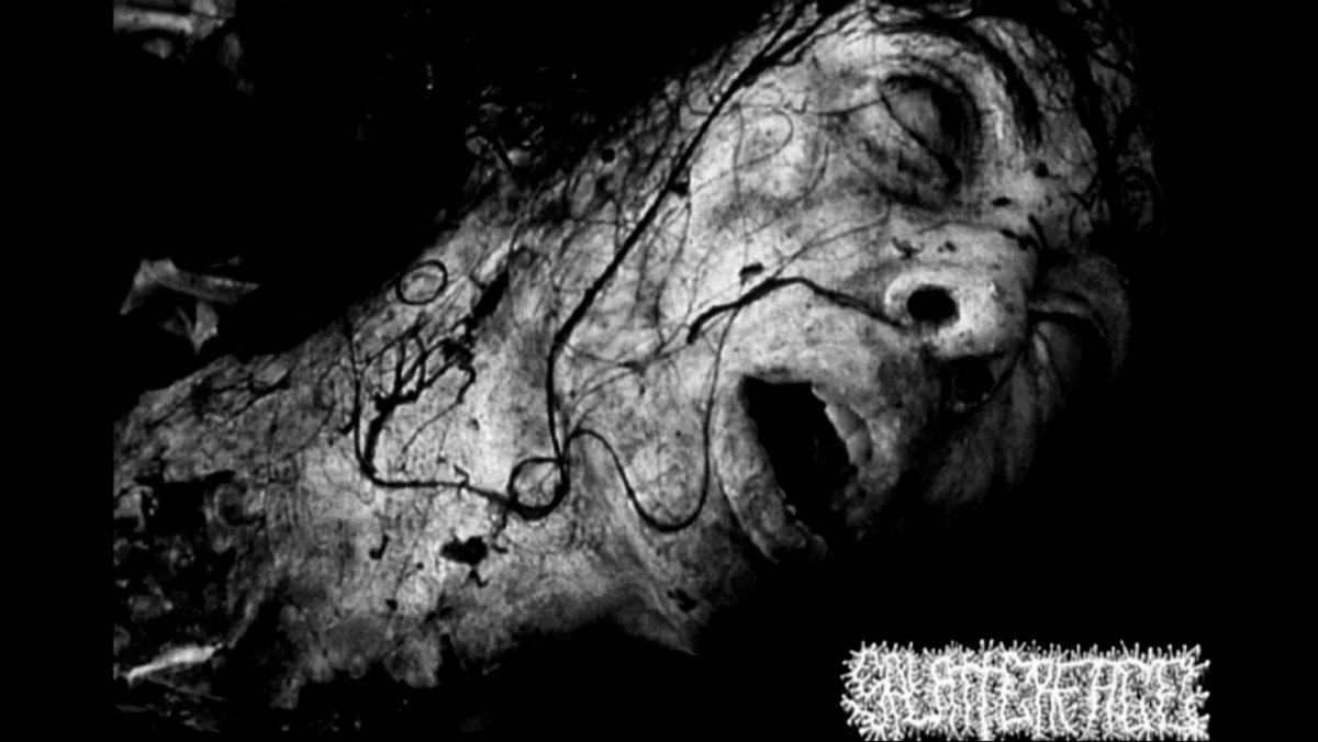 Split with Mental Mutilation